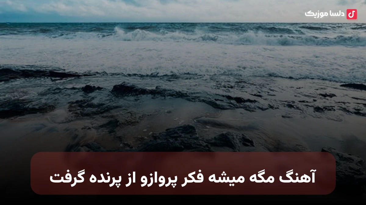  مگه میشه فکر پروازو از پرنده گرفت